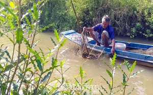 Ngắt vụ phơi đầm, nuôi tôm sú quảng canh cải tiến kiểu gì mà nông dân Cà Mau trúng nhiều tiền hơn hẳn?