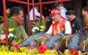Lễ hội đền Gin ở Nam Định, người dân dâng cúng đức thánh cá trăm đen to, có con nặng tới 15kg
