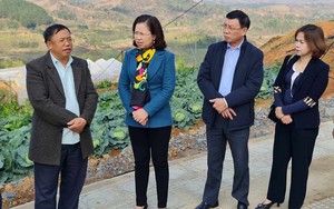 Phó Chủ tịch TƯ Hội Nông dân Việt Nam Bùi Thị Thơm thăm Hợp tác xã trồng rau lớn nhất Điện Biên