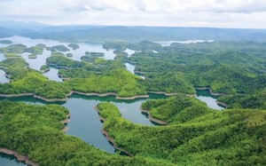 Một hồ nước ngọt nhân tạo rộng tới 50.000 ha nổi tiếng ở Đắk Nông, người ta ví đây là 