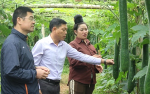 Thuận Châu: Xây dựng tổ chức Hội vững mạnh, đáp ứng yêu cầu công tác hội