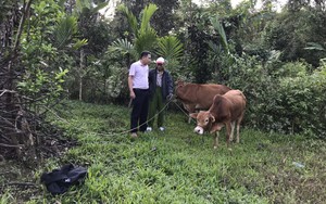 Quảng Nam: Vốn tín dụng chính sách giúp người dân huyện miền núi Nam Giang có việc làm, thoát nghèo bền vững 