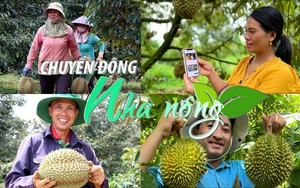 Chuyển động Nhà nông 3/1: Vụ sầu riêng 