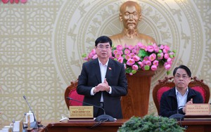 Ông Trần Đình Văn được phân công điều hành hoạt động của Tỉnh ủy Lâm Đồng