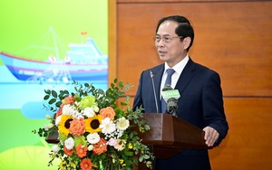 Bộ trưởng Bộ Ngoại giao Bùi Thanh Sơn: Thế giới bày tỏ ngưỡng mộ với những gì Việt Nam làm được trong nông nghiệp