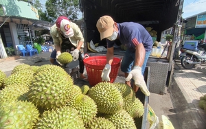 Cảnh báo thủ đoạn lừa đảo mới với doanh nghiệp khi xuất khẩu nông sản sang Trung Quốc