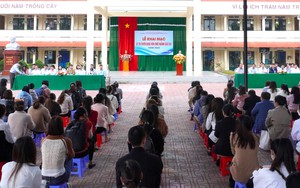 Lâm Đồng: Chấm dứt hợp đồng với 13 giáo viên, nhân viên dùng chứng chỉ giả để thi viên chức