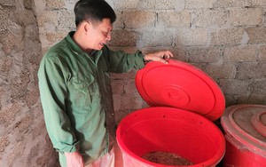 Một nông dân Nghệ An chế loại nước đặc biệt đem treo trong vườn tiền tỷ, côn trùng lập tức tránh xa