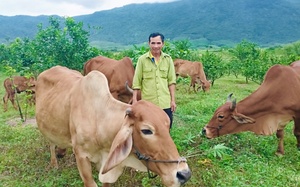 Tại sao Việt Nam đang thúc đẩy việc chăn nuôi không nhốt lồng, chăn nuôi không nhốt lồng là gì? - Ảnh 4.