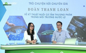 GÓC CHUYÊN GIA: Một số lưu ý trong đầu tư nuôi cá tầm nước lợ