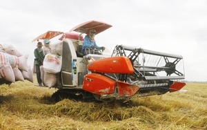 Các nước đổ xô đến Việt Nam mua lương thực, lần đầu tiên, Việt Nam xuất khẩu 8,2 triệu tấn gạo