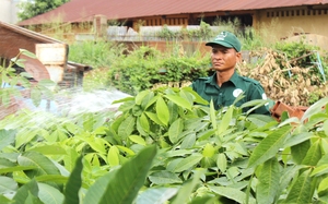 Đồng Nai đau đầu tìm giải pháp ổn định đời sống đồng bào dân tộc thiểu số nhập cư