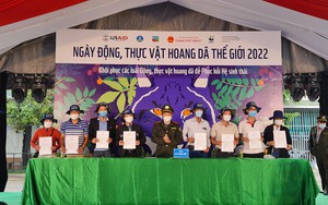 Tỉnh Quảng Nam trình Thủ tướng đăng cai tổ chức năm phục hồi đa dạng sinh học quốc gia  