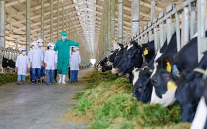 Ưu tiên đẩy mạnh hoạt động khoa học và công nghệ ngành chăn nuôi đến năm 2030