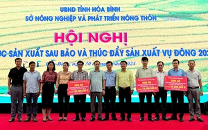 Hội Nông dân Khánh Hòa trao kinh phí ủng hộ đồng bào miền Bắc khắc phục thiệt hại do bão số 3 - Ảnh 5.