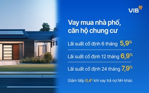 Nhóm cổ đông liên quan đến "cá mập" 1 tháng tuổi sở chi phối hơn 5% vốn VIB có gì đặc biệt? - Ảnh 6.