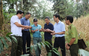 Bộ Trưởng Bộ Thông tin và Truyền thông làm việc tại Lào Cai - Ảnh 3.