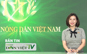 TƯ Hội Nông dân Việt Nam gặp mặt 63 nông dân xuất sắc và 63 HTX tiêu biểu toàn quốc năm 2024 - Ảnh 12.