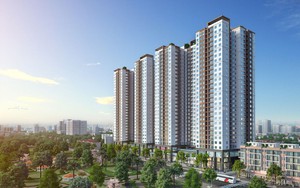 Sai phạm tại dự án Amber Riverside 622 Minh Khai có thể gây thất thoát ngân sách- Ảnh 3.