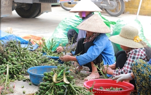 Uống matcha mất ngủ hay giúp ngủ ngon: Điều ít người biết - Ảnh 4.