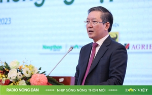 Radio online Nhịp sống nông thôn mới ngày 28/10/2024 Radio nông dân Radio truyện Radio trực tuyến - Ảnh 2.