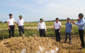 Nông dân nơi này ở Nghệ An trồng bí xanh trái vụ bằng cách gì mà quả treo trĩu giàn, giá lại lên cao vút - Ảnh 6.