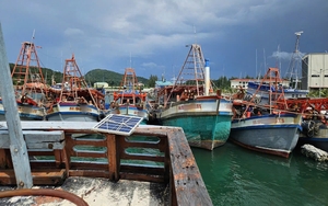 "Bố già" chuyên vận chuyển lượng lớn ma túy ra Đà Nẵng, Huế nhiều tiền án, tiền sự ra sao? - Ảnh 3.