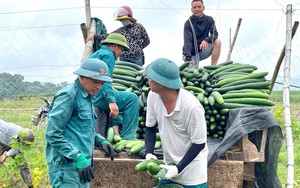 Hội Nông dân tỉnh Nghệ An với công tác phòng chống bệnh lao: Thay đổi tư tưởng, nhận thức là chìa khóa thành công - Ảnh 4.