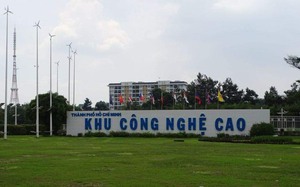 TP.HCM: Học sinh từ lớp 8 đã được định hướng nghề nghiệp - Ảnh 6.