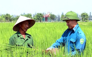 Rầm rộ trồng cây, dựng hàng rào trái phép, vì sao hàng chục hộ dân ở Kon Tum lại tháo gỡ đi rồi? - Ảnh 7.