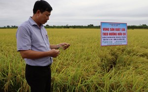 Yên Bái: Xã Thượng Bằng La xây dựng nông thôn mới nâng cao gắn với tiềm năng phát triển du lịch- Ảnh 12.