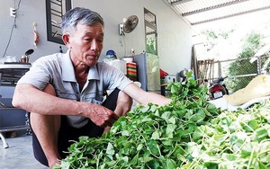 Ông Nguyễn Thiên Văn, Phó Chủ tịch UBND tỉnh Đắk Lắk chủ trì họp báo về Đại hội đại biểu các DTTS - Ảnh 5.