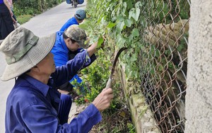 Một xã ở Hà Giang, đường nông thôn mới thông thoáng, muôn hoa khoe sắc, nương chè đẹp như phim - Ảnh 9.