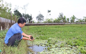 Phó Chủ tịch TƯ Hội NDVN Bùi Thị Thơm làm việc tại Nam Định: Hội Nông dân Nam Định có nhiều điểm sáng- Ảnh 6.