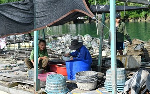 Yên Bái: Xây dựng nông thôn mới nâng cao ở xã Đông An, nhiều chỉ tiêu vượt ở mức cao- Ảnh 13.