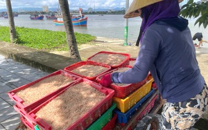 Quảng Bình: Mưa lớn nhiều tuyến đường Đồng Hới ngập nặng, 1 thuyền câu mực chìm khi vào bờ- Ảnh 5.