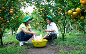 Phân Bón Cà Mau trao học bổng "Thắp sáng ước mơ sinh viên Đại học Cần Thơ" lần VIII - Ảnh 4.