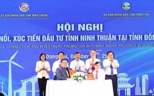 Học sinh 15 tuổi nhặt được súng và 18 viên đạn chủ động giao nộp cho công an Ninh Thuận - Ảnh 3.