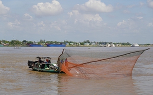 100 tổ hợp tác của nông dân An Giang tham gia Đề án 1 triệu ha chuyên canh lúa chất lượng cao   - Ảnh 5.