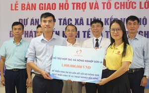 TP.HCM ban hành định mức kinh tế kỹ thuật về khuyến nông thay cho Quyết định cũ - Ảnh 6.