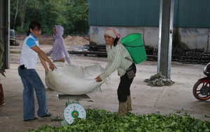 Sau Diễn đàn Lắng nghe nông dân nói: Cần quy hoạch hài hòa giữa điện gió và khu nuôi trồng thủy sản (Bài 5)- Ảnh 10.