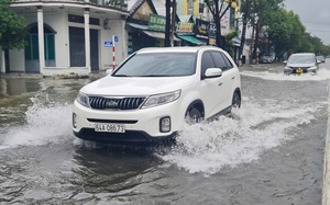 Chủ tịch UBND tỉnh Quảng Nam: Tôi không muốn sau bão Trà Mi, đồng chí này, đồng chí kia bị kỷ luật- Ảnh 6.