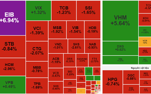 VN-Index "bốc hơi" 13 điểm, VHM, STB bị bán tháo - Ảnh 4.