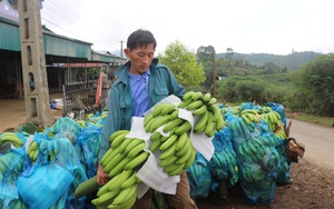 Lào Cai: Xử lý nghiêm những tập thể, cá nhân vi phạm về chế độ chính sách cho học sinh - Ảnh 3.