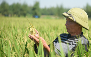 Quan hệ báo chí – doanh nghiệp không thể chỉ là mối quan hệ "làm phiền đến nhau" - Ảnh 5.