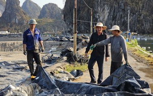 Bảo hiểm nông nghiệp ở đâu khi nông dân thiệt hại nặng nề: Phải có "điểm tựa" Nhà nước  - Ảnh 4.