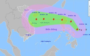 Cập nhật tin bão TRAMI mới nhất: Bão đi nhanh theo hướng Tây Tây Bắc, tiến thẳng vào biển miền Trung - Ảnh 3.