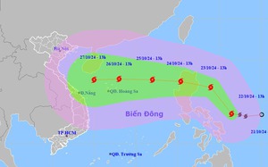 Cập nhật tin bão TRAMI mới nhất: Bão đi nhanh theo hướng Tây Tây Bắc, tiến thẳng vào biển miền Trung - Ảnh 5.