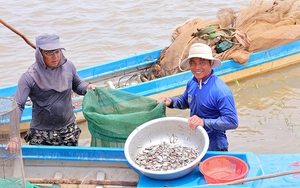 Nông dân Quảng Nam làm "diễn viên, ca sỹ" tranh tài qua lời ca, tiếng hát về nông thôn mới - Ảnh 7.