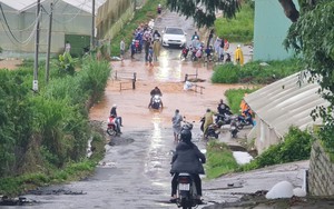 Lâm Đồng hướng tới mục tiêu “Cao nguyên xanh”: Tỉnh quyết tâm, doanh nghiệp đồng hành ủng hộ- Ảnh 9.